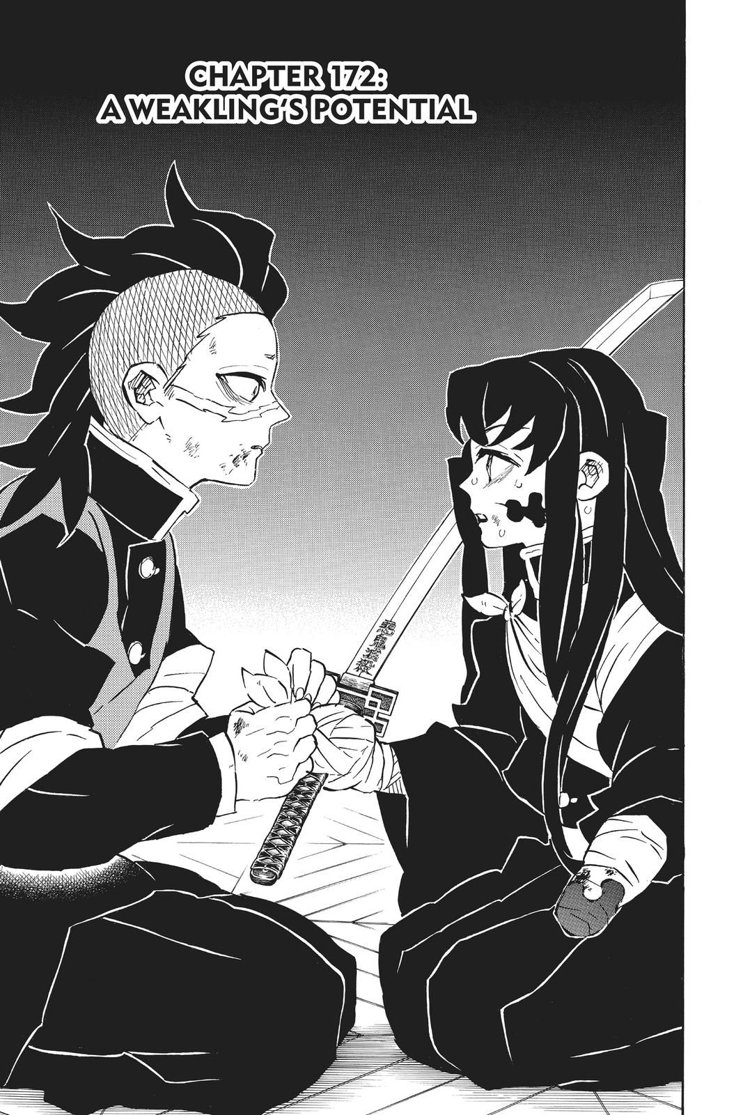 Read Demon Slayer EN Manga Online