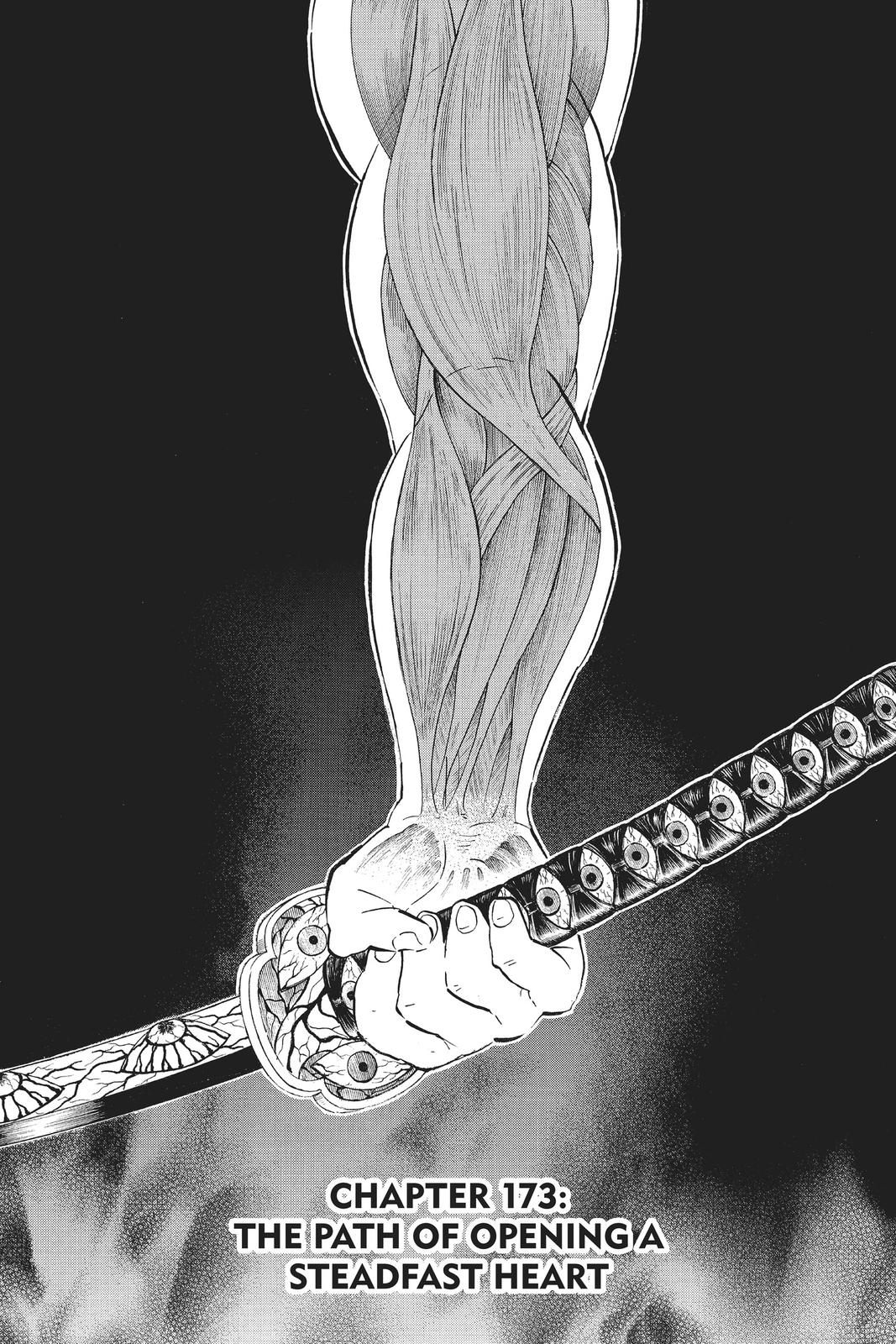 Read Demon Slayer EN Manga Online