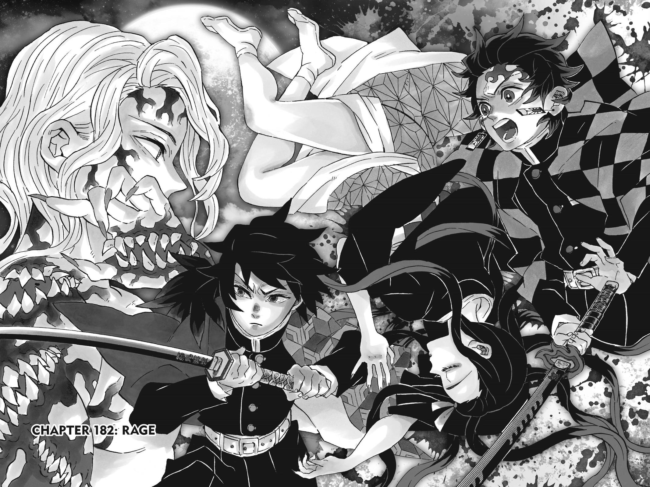 Read Demon Slayer EN Manga Online